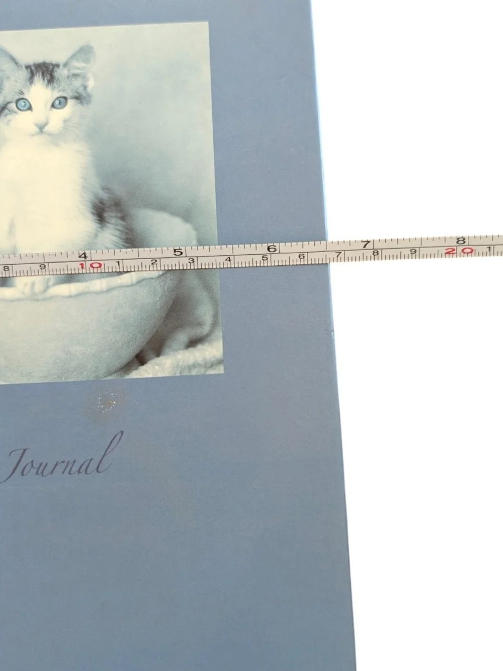 Blue Cat Journal Notebook by Rachel Hale